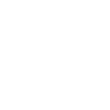 CV Icon